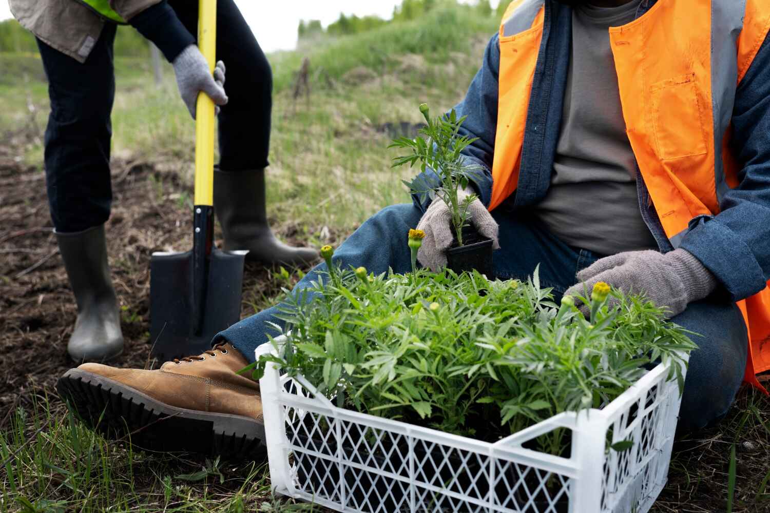 Professional Tree Service in Muncie, IN